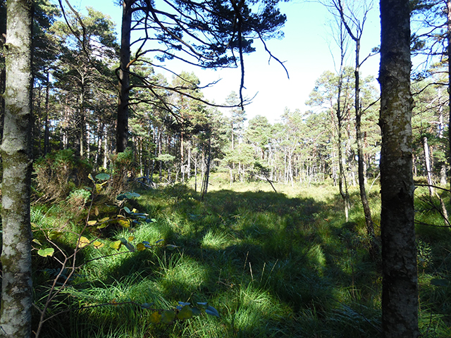 SAM_0162