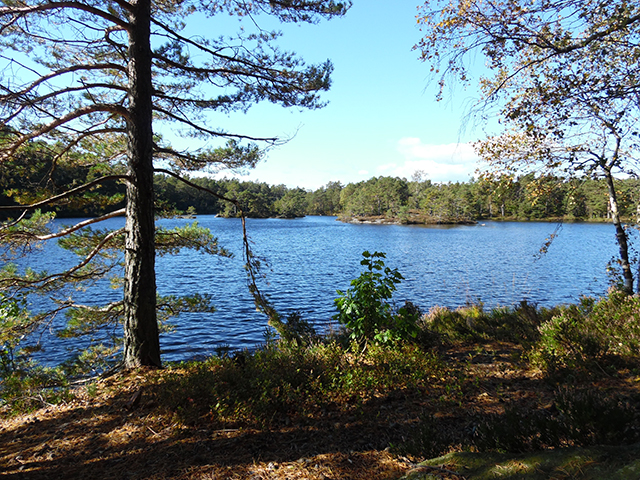 SAM_0171