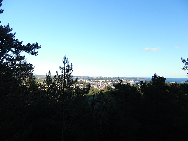 SAM_0177