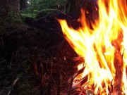 Friluftsliv og ideologi i Bergen