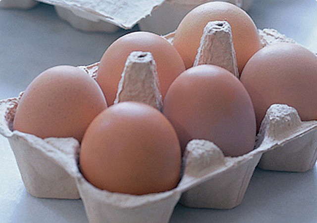 egg