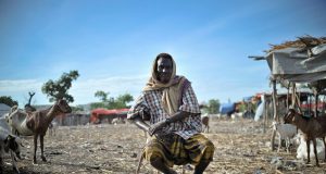 Foto: CC0 Public Domain.