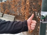 Opprydding i Fredrikstad