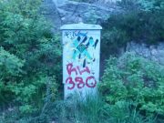 Basisaktivisme på Kongsgård