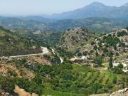 Jødisk avis: Forsker drept i «nazigrotte»