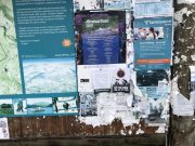 Basisaktivisme i Oppdal