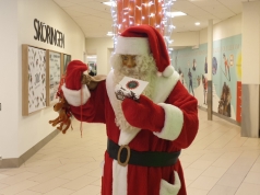 Offentlig aktivisme i Norge, Sverige og Island