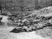 Dagens video: William Pierce om Katyn-massakren