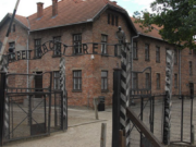 Dagens video: 40 spørsmål og svar vedrørende «holocaust»