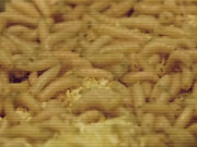 Sverige: Elever ble lurt til å spise insektlarver