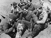 Günther Rall – et flygeress i verdensklasse