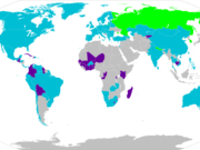 Stopper utenlandsadopsjon fra fire land