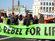 Klimaekstremist dømt til fem års fengsel