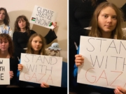 Sveriges utenriksminister: Greta får skylde seg selv