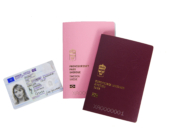 83 prosent av svenskene ønsker å kunne tilbakekalle statsborgerskap