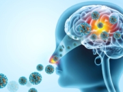 Dødelig amøbe som angriper hjernen sprer seg globalt