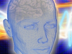 Ny forskning: Hjernen forynges av muskelvekst i andre deler av kroppen