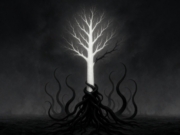 Hva er anti-hvithet?