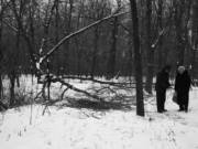 Vitnene ved Babij Jar – del én