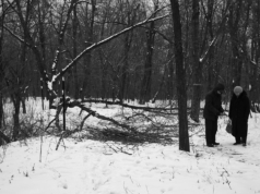 Vitnene ved Babij Jar – del Én