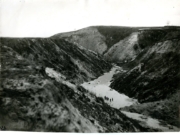 Oppgravning av likene ved Babij Jar