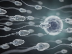 Dansk sædbank innfører krav om IQ-test for donorer