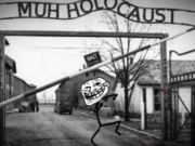 Dagens video: Why you so jewish?