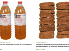 New Zealand vil importere mer kumøkkmedisin fra India https://www.noticer.news/indian-store-new-zealand-cow-urine-dung/