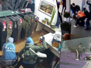 Åtte års fengsel for transvestitten i hammergjengen