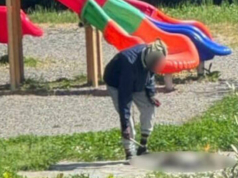 https://rmx.news/article/italy-nigerian-man-photographed-killing-cat-and-trying-to-cook-it-in-front-of-childrens-playground-leaving-town-of-sarzana-in-shock/
