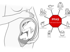 Studie: PFAS-eksponering under graviditeten kan gi barnet astma
