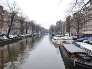 Amsterdam forbyr reklame for kjøtt og fly