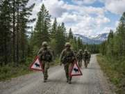 Flere elgskilt forsvunnet: mistenker NATO-soldater